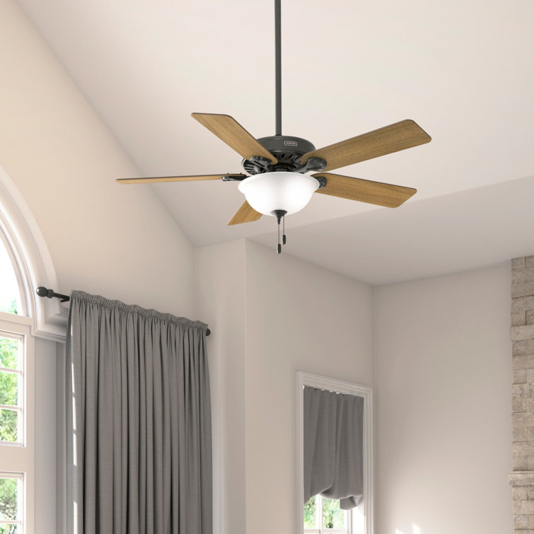 Hunter Fan Hunter 52 Inch Pro's Best Energy Star® Ceiling Fan With